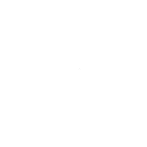 logotipo-zs-estetica-4