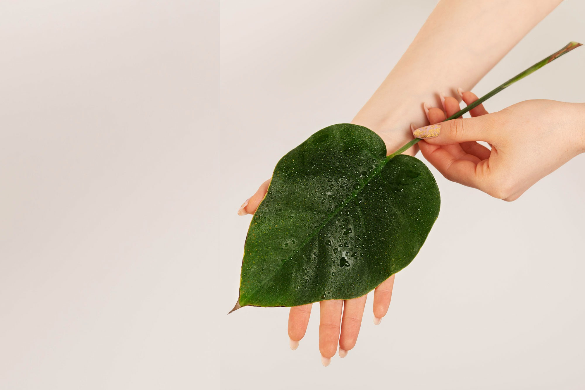 zurine-sarabia-centro-estetica-salud-09