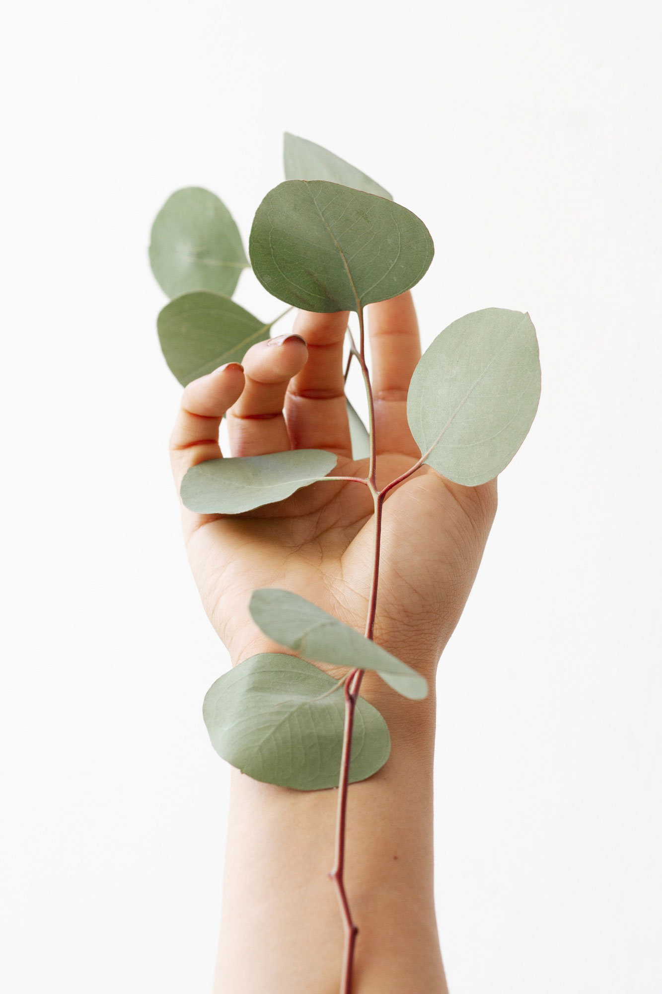 zurine-sarabia-tratamientos-estetica-salud-12